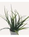 Planta Decorativo Grass de Aspecto Realista