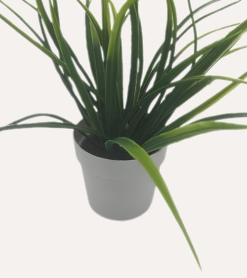 Planta Decorativo Grass de Aspecto Realista