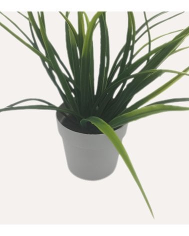 Planta Decorativo Grass de Aspecto Realista