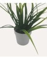 Planta Decorativo Grass de Aspecto Realista