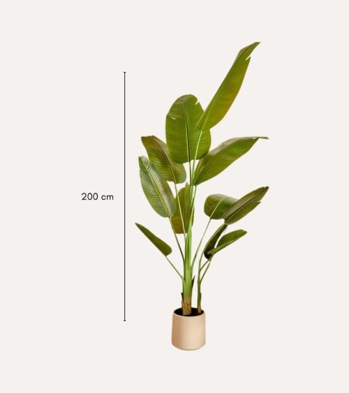 Platanero Decorativo Lora con 3 Troncos de Plástico