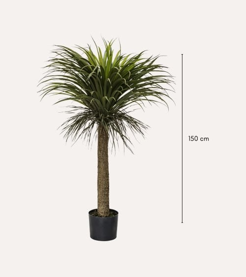 Palmera Yuca Tropical Decorativa con Maceta de Acero