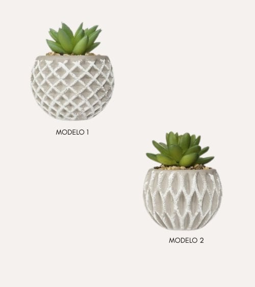 Planta Decorativa en Maceta de Cemento