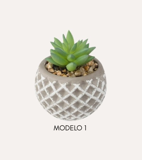 Planta Decorativa en Maceta de Cemento