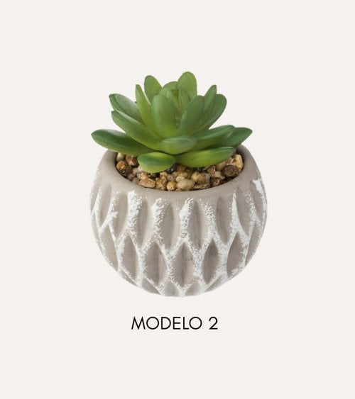 Planta Decorativa en Maceta de Cemento