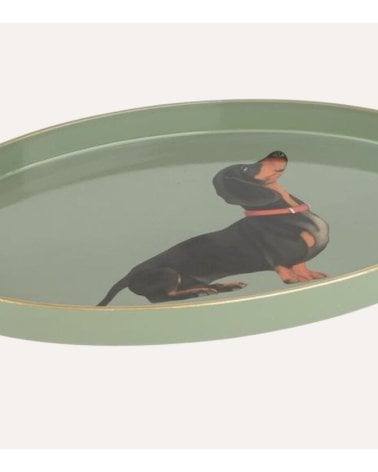 Bandeja Decorativa Oval Perro Salchicha de Plástico