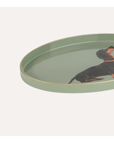 Bandeja Decorativa Oval Perro Salchicha de Plástico