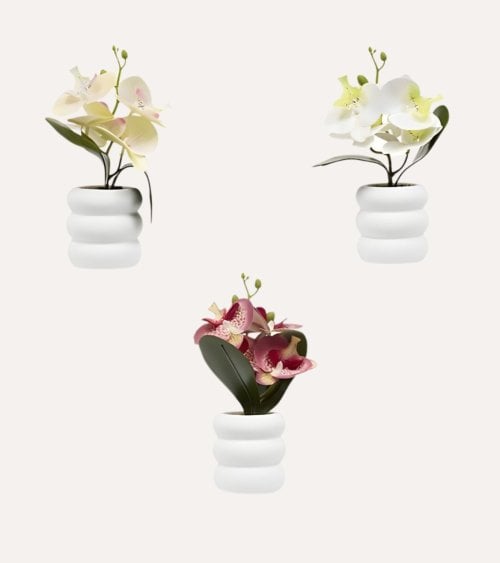 Orquídea Decorativa Mick con Maceta de Cemento