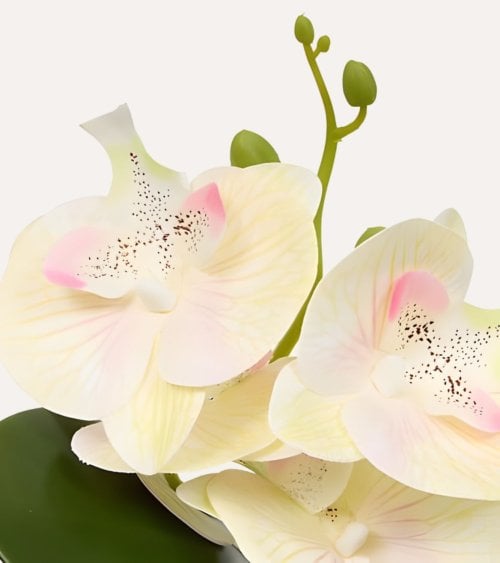 Orquídea Decorativa Mick con Maceta de Cemento