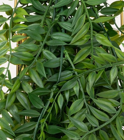 Planta Decorativa Colgante Le Collectionneur en Maceta de Dolomita