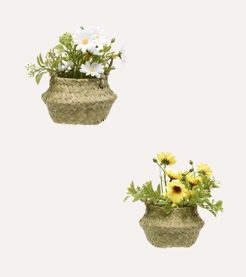 Margaritas Decorativas Tifi en Maceta de Ratán