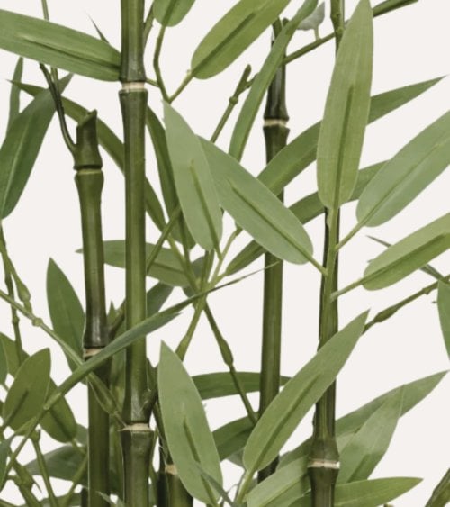 Bambú Decorativo Ly con Maceta de Fibra Vegetal