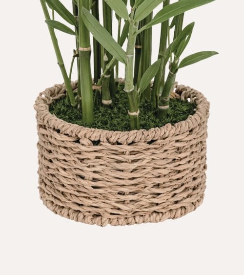 Bambú Decorativo Ly con Maceta de Fibra Vegetal