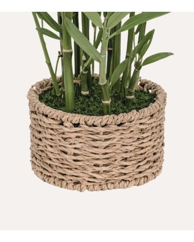 Bambú Decorativo Ly con Maceta de Fibra Vegetal