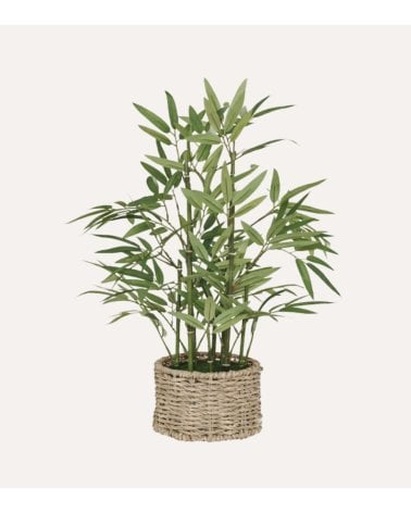 Bambú Decorativo Ly con Maceta de Fibra Vegetal