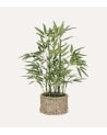 Bambú Decorativo Ly con Maceta de Fibra Vegetal