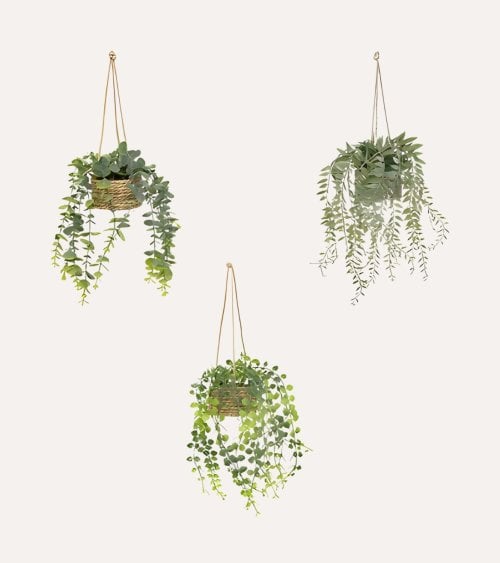 Planta Decorativa Colgante Patri con Maceta de Yute