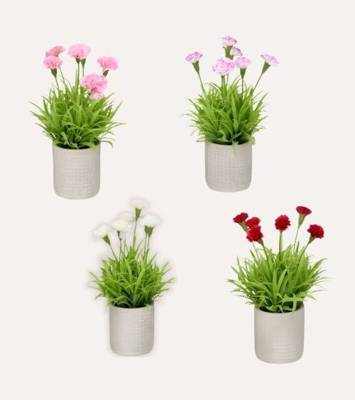 Claveles Decorativos con Maceta de Cemento