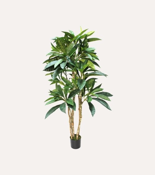 Árbol Decorativo Plumeria con Tronco Natural