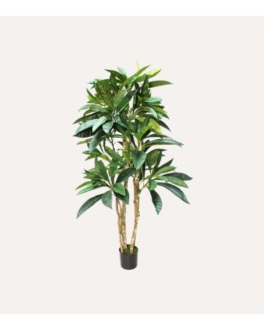 Árbol Decorativo Plumeria con Tronco Natural