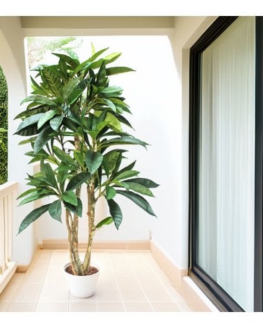 Árbol Decorativo Plumeria con Tronco Natural