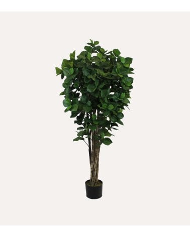 Árbol Decorativo Clusia con Tronco Realista