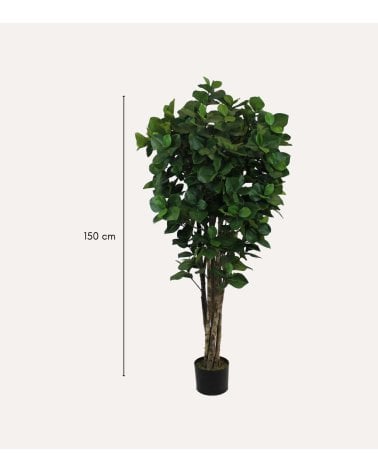 Árbol Decorativo Clusia con Tronco Realista