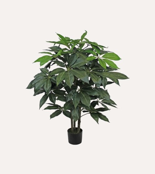 Árbol Decorativo Chefflera con Tronco Natural