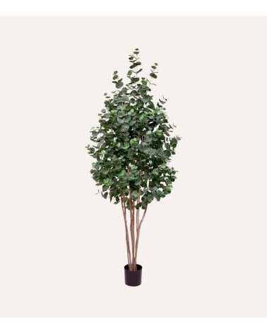 Árbol Decorativo Eucalipto con Tronco Natural