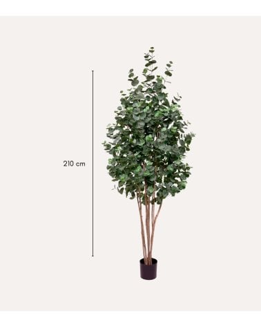 Árbol Decorativo Eucalipto con Tronco Natural