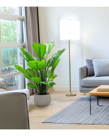 Planta Decorativa Calathea de Aspecto Realista
