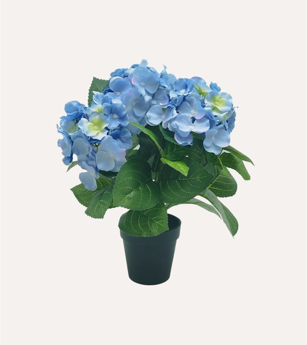 Planta Decorativa Flores Hortensia de Aspecto Realista