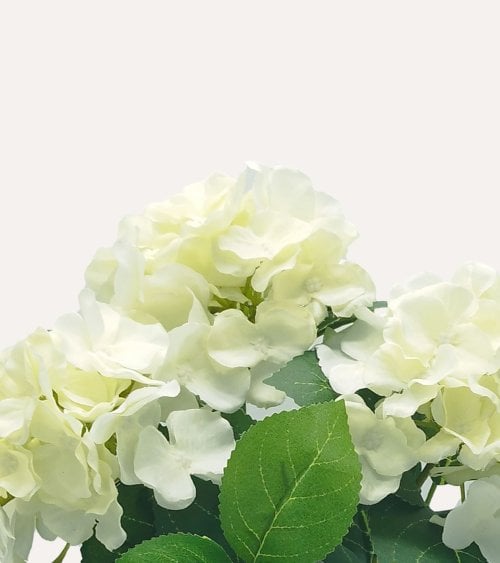 Planta Decorativa Flores Hortensia de Aspecto Realista