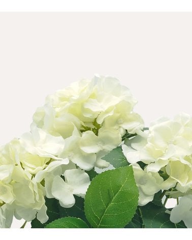 Planta Decorativa Flores Hortensia de Aspecto Realista