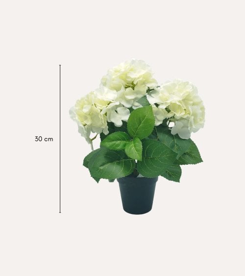 Planta Decorativa Flores Hortensia de Aspecto Realista