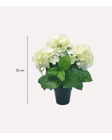 Planta Decorativa Flores Hortensia de Aspecto Realista