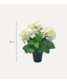 Planta Decorativa Flores Hortensia de Aspecto Realista