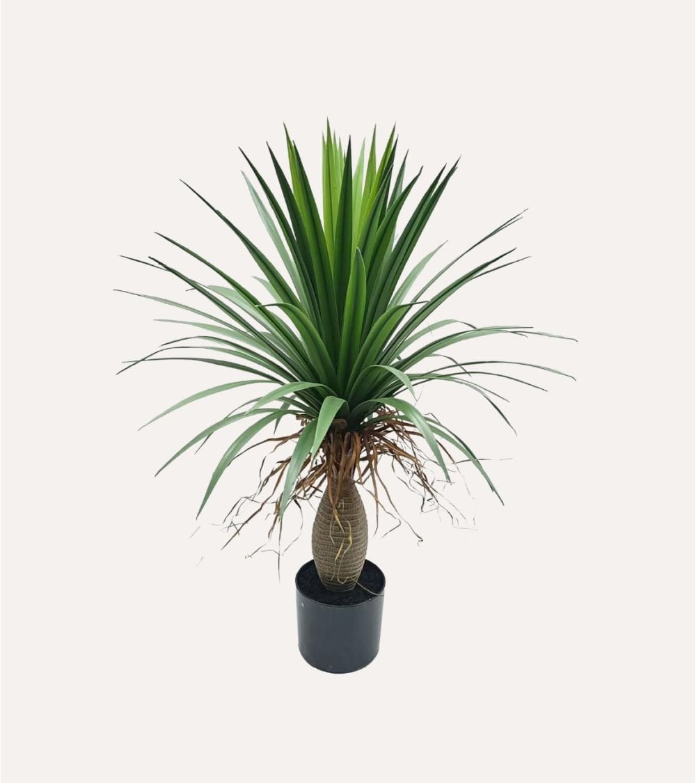 Yuca Decorativa de Aspecto Realista para Exterior