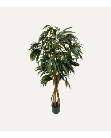 Árbol Decorativo Longifolia de Aspecto Realista