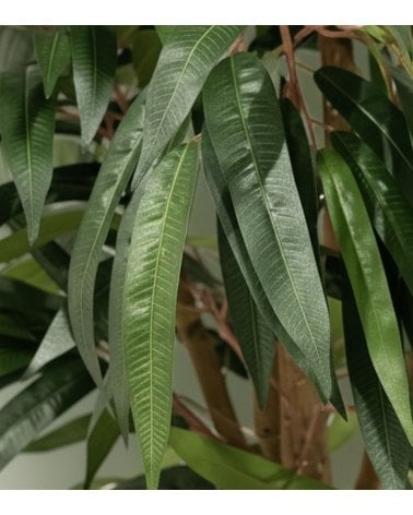 Árbol Decorativo Longifolia de Aspecto Realista