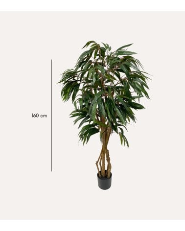 Árbol Decorativo Longifolia de Aspecto Realista