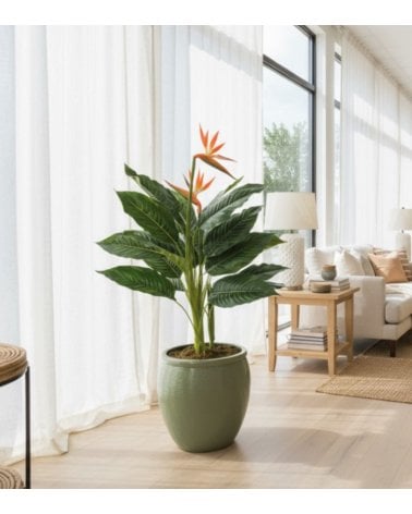 Planta Decorativa Flor Esterlizia de Aspecto Realista