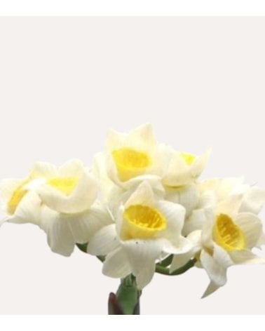 Orquídea Decorativa Mini Flores de Aspecto Realista