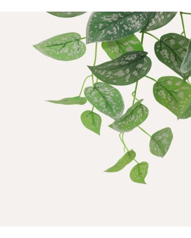 Planta Decorativa Potos Colgante de Aspecto Realista