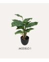Planta Decorativa Pincelito de Aspecto Realista