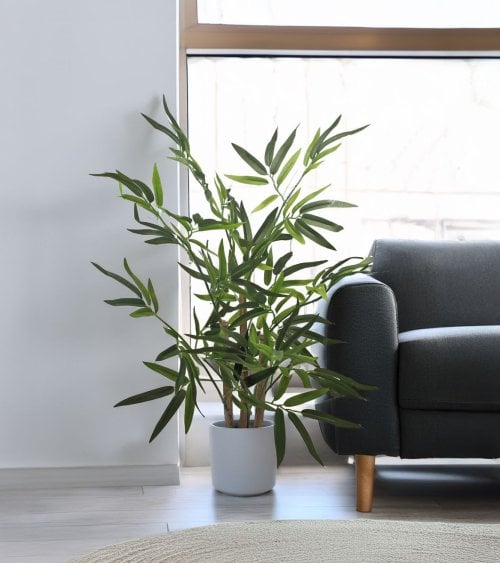 Bambú Decorativo Árbol con Tronco Natural