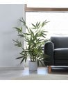 Bambú Decorativo Árbol con Tronco Natural