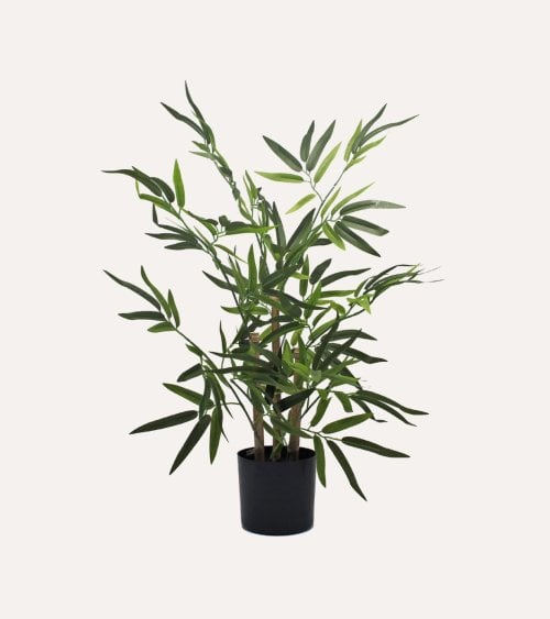 Bambú Decorativo Árbol con Tronco Natural