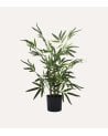 Bambú Decorativo Árbol con Tronco Natural