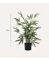 Bambú Decorativo Árbol con Tronco Natural